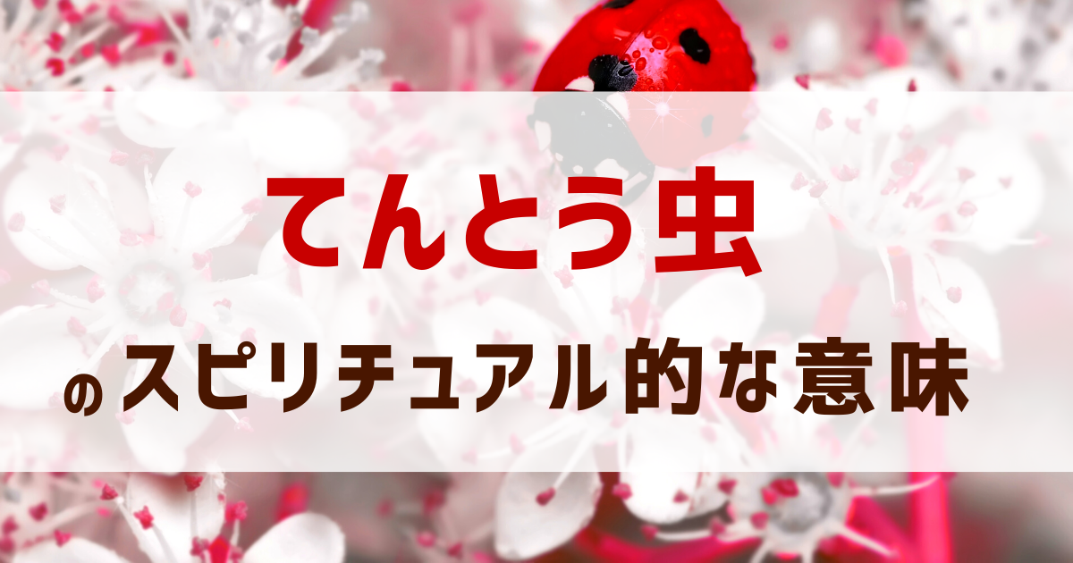 てんとう虫のスピリチュアル的な意味 まとめ 幸運 幸せの前兆 ミーア通信