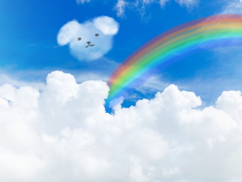 虹のスピリチュアル的な意味【まとめ】幸運･幸せの前兆？